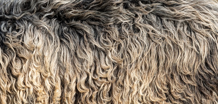 304不銹鋼做RoHS檢測(cè)需要檢測(cè)哪些項(xiàng)目?歐盟ROHS認(rèn)證是什么 做外貿(mào)的朋友快來(lái)了解一下