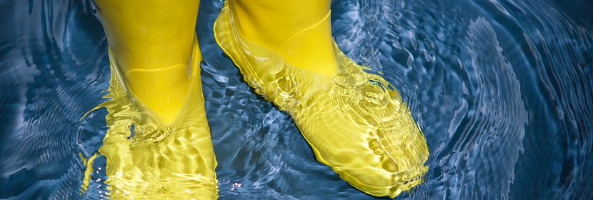 出口產(chǎn)品RoHS檢測?有害物質(zhì)歐盟ROHS檢測認證辦理費用