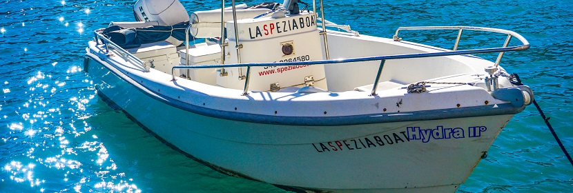 后疫情時代，我們應該如何選擇消毒產品  ??如何查詢消毒殺菌產品的備案信息