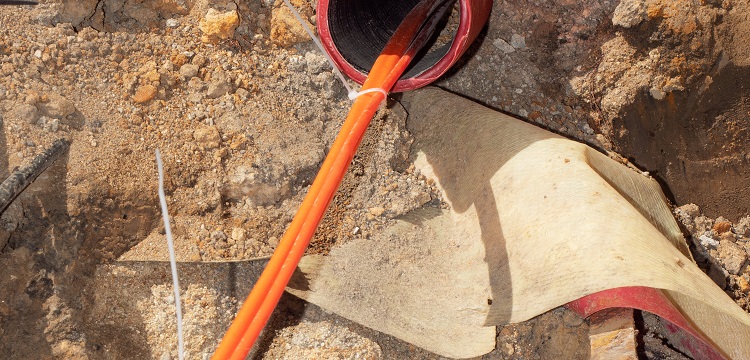 公共衛(wèi)生檢測項(xiàng)目及標(biāo)準(zhǔn)有哪些？