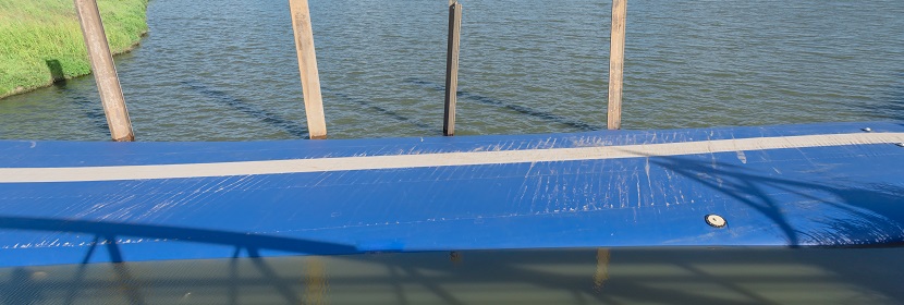 瓜拉納提取物檢測(cè)