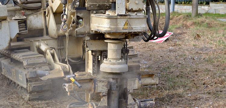 蔗糖轉(zhuǎn)化酶檢測