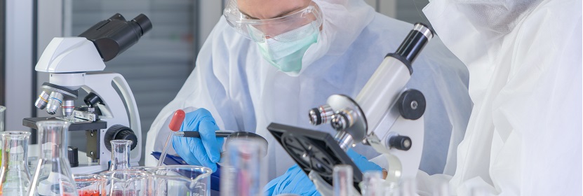 病媒生物檢測