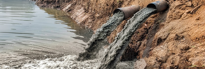 魚(yú)類急性毒性試驗(yàn)